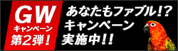 GWキャンペーン第2弾!スタンディ投稿キャンペーン実施中!!